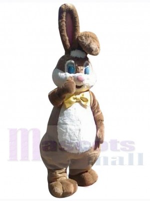 Lapin de Pâques costume de mascotte