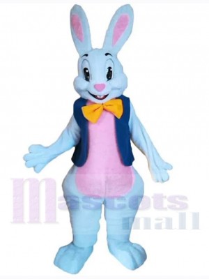 Lapin de Pâques costume de mascotte