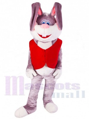 Lapin de Pâques costume de mascotte