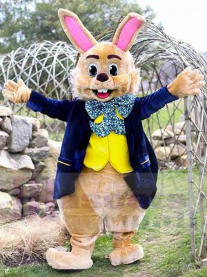 Lapin de Pâques costume de mascotte