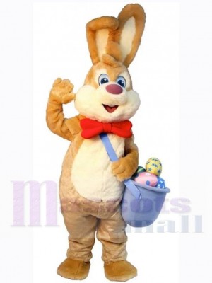 Lapin de Pâques costume de mascotte