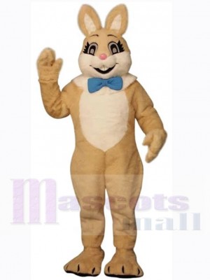 Lapin de Pâques brun souriant Mascotte Costume Animal