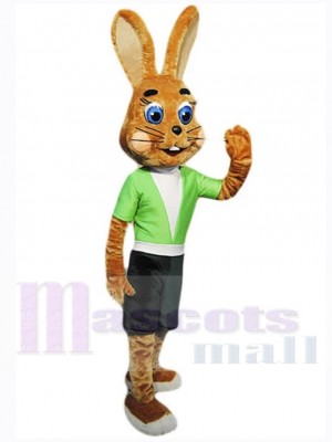 Lapin de Pâques costume de mascotte