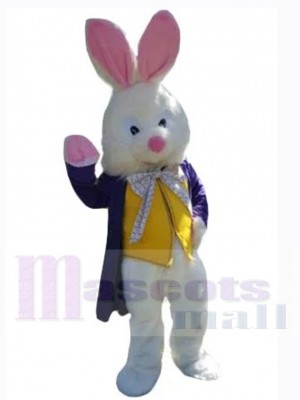 Lapin de Pâques amical Mascotte Costume Animal en costume violet