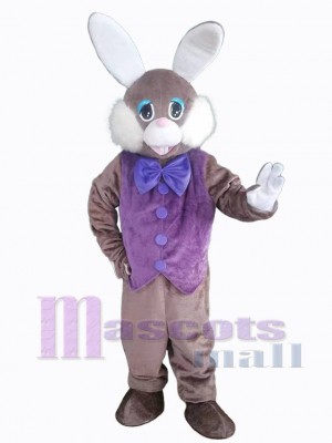 Lapin de Pâques en violet Mascotte Costume Animal