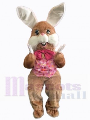 Lapin de Pâques costume de mascotte