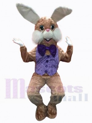 Lapin de Pâques brun amical Mascotte Costume Animal