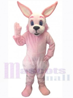 Lapin de Pâques costume de mascotte
