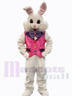 Lapin de Pâques costume de mascotte