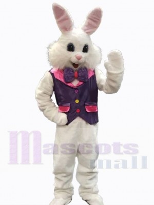 Lapin de Pâques costume de mascotte