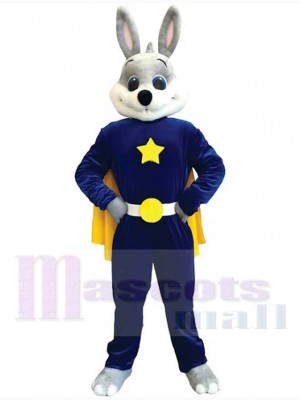 Lapin de Pâques costume de mascotte
