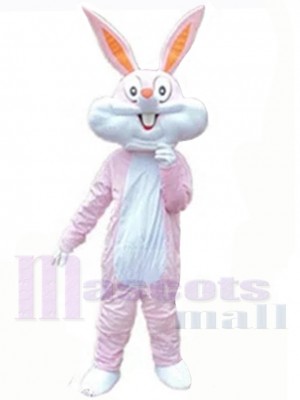 Lapin de Pâques costume de mascotte