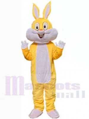 Lapin de Pâques costume de mascotte