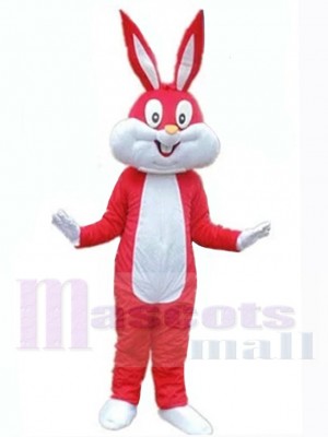 Lapin de Pâques costume de mascotte