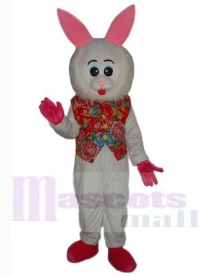 Lapin de Pâques costume de mascotte