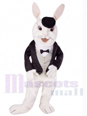 Lapin de Pâques costume de mascotte