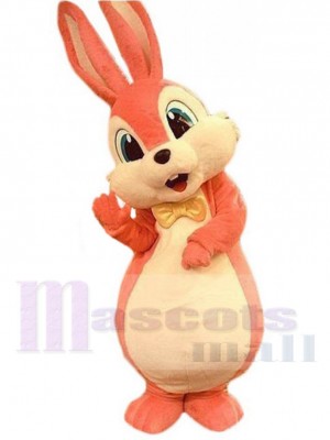 Lapin de Pâques costume de mascotte