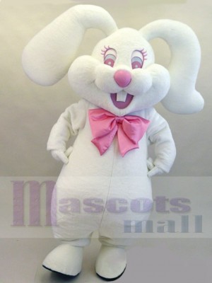 Lapin de Pâques costume de mascotte