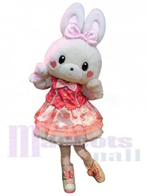 Lapin de Pâques costume de mascotte