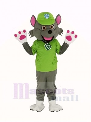 Paw Patrol Personnage Rocheux Mascotte Costume
