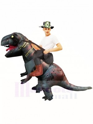 Tyrannosaure gris T-Rex Gonflable Porte moi Ride On Costume