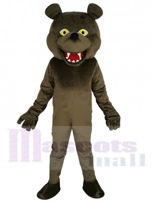 Ours costume de mascotte