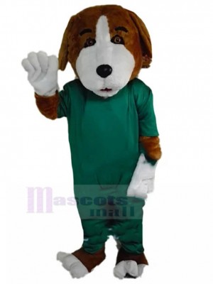 Costume de mascotte de chien beagle marron et blanc avec animal de robe chirurgicale