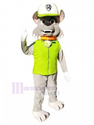 Chien costume de mascotte