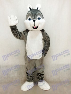 Costume de mascotte de chien husky gris mignon