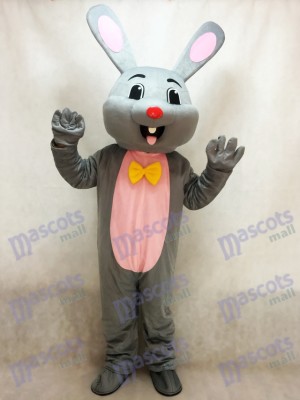 Pâques Grise Lapin lièvre Mascotte Costume