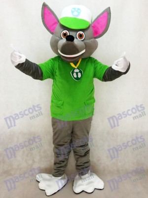 Pat Patrouill Paw Patrol Rocky recyclage écologie chiot Mascotte personnage Costume Eco Pup