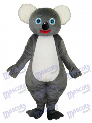 Koala mascotte costume adulte Animal