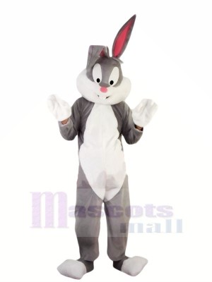 Chaud Pâques professionnelle lapin Mascotte Les costumes Pas cher