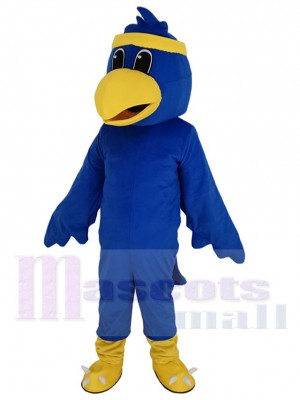 Faucon bleu universitaire faucon du ciel Mascotte Costume Animal