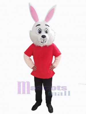 Lapin de Pâques costume de mascotte