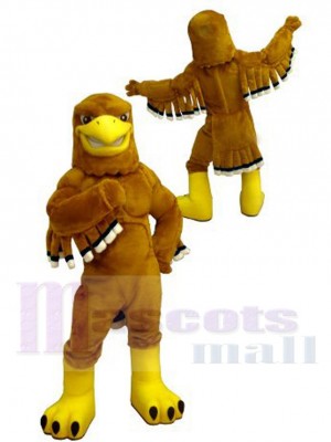 Collège Féroce Doré Aigle Costume de mascotte