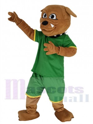 marron Bouledogue dans Vert Sweat-shirt Mascotte Costume Animal