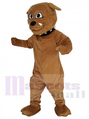 Bouledogue mascotte costume