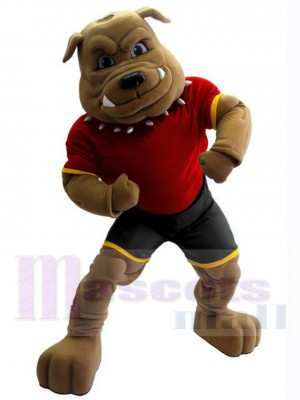 Bouledogue costume de mascotte