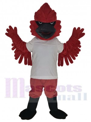 Oiseau cardinal en T-shirt blanc Costume de mascotte