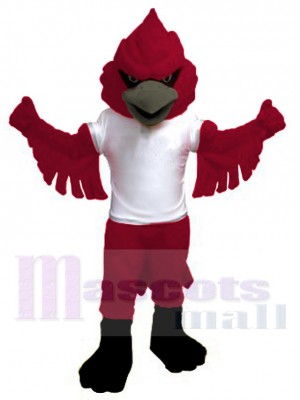 Pouvoir Cardinal Costume de mascotte Animal