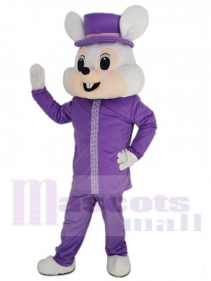 Lapin de Pâques violet amical Mascotte Costume Animal