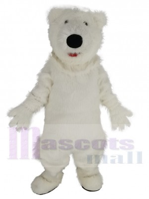 Ours polaire costume de mascotte