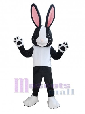 Lapin de Pâques costume de mascotte