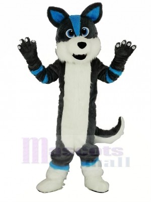 Mignonne gris et Bleu Rauque Chien Fursuit Mascotte Costume Dessin animé