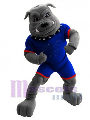 Bouledogue costume de mascotte