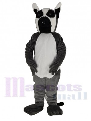 Longue Queue Maki Mascotte Costume Animal