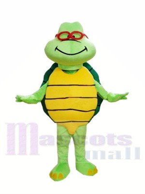 Tortue verte pas cher personnalisé Costumes De Mascotte