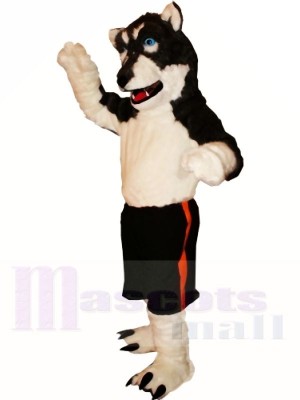 Loup noir et blanc Costumes De Mascotte