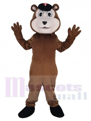 Ours brun de baseball Costume de mascotte Animal